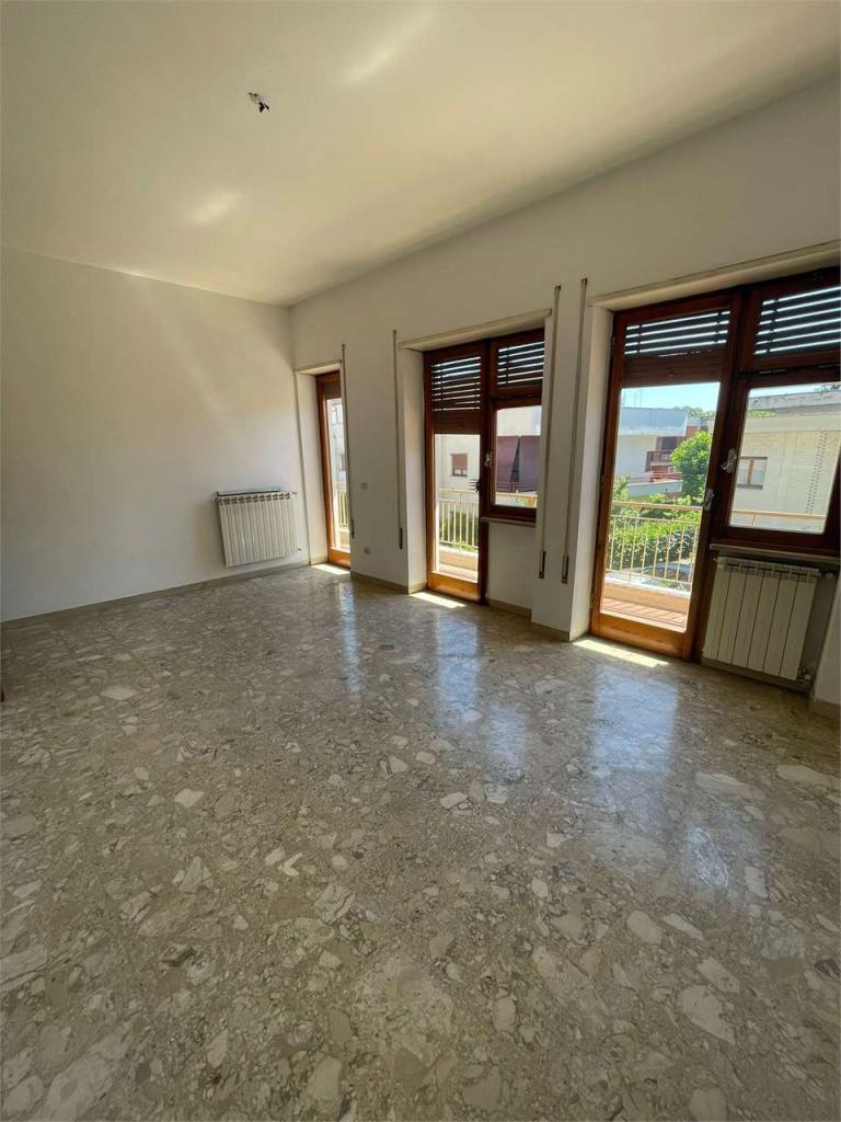 Vendita vendita, Frosinone foto