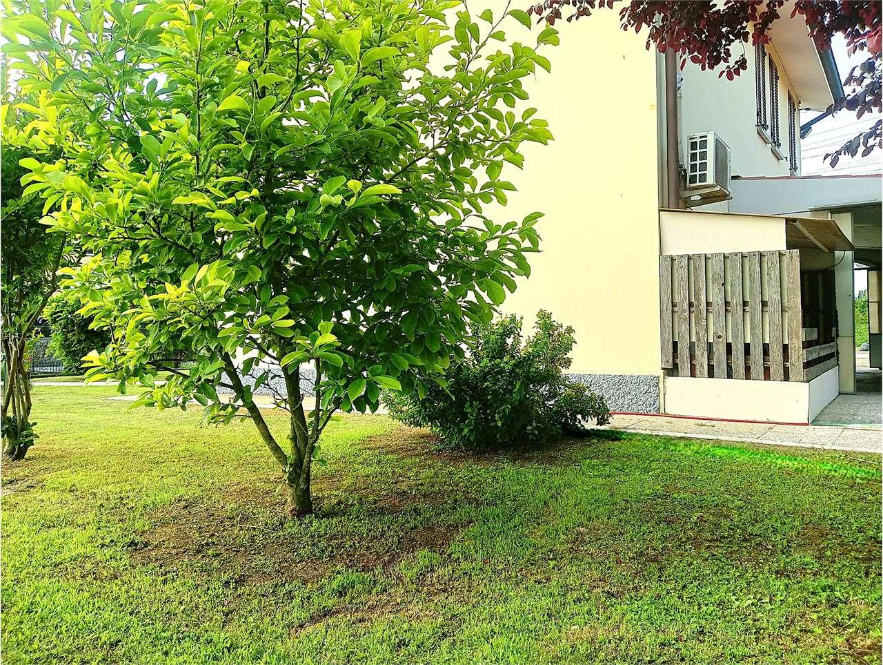 Vendita vendita, Modena foto