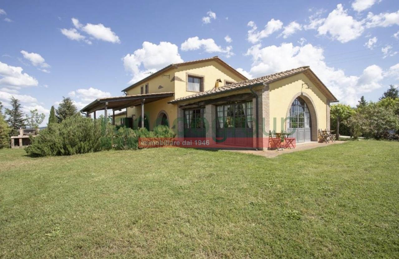 Vendita Multivani, Guardistallo Vendita Multivani, Guardistallo foto