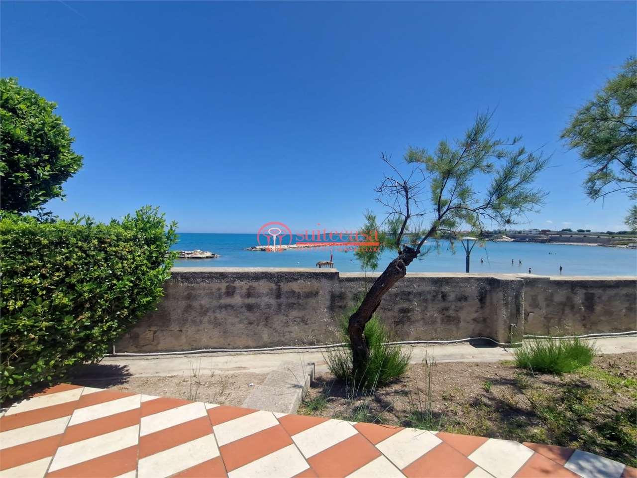 Vendita vendita, Trani foto