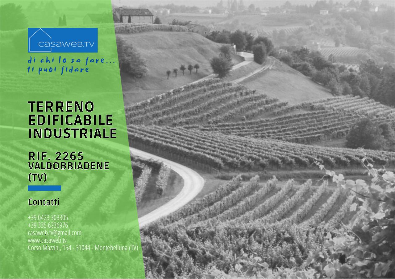 Vendita vendita, Valdobbiadene foto