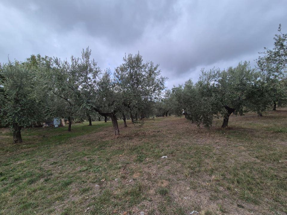 Vendita Loft, mansarde e attici, Loreto Aprutino foto