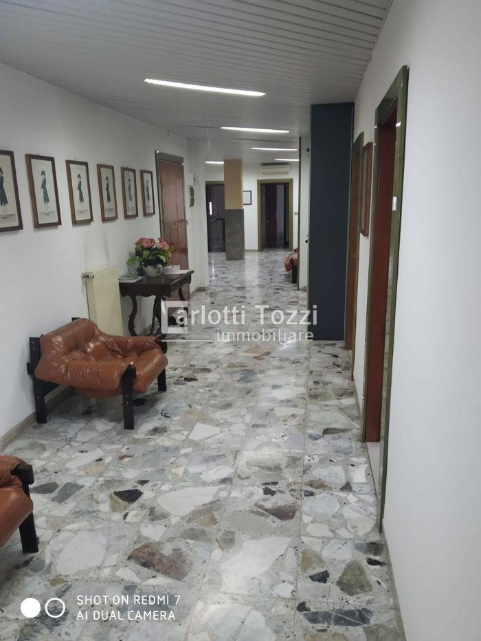 Affitto Esavani, Grosseto foto