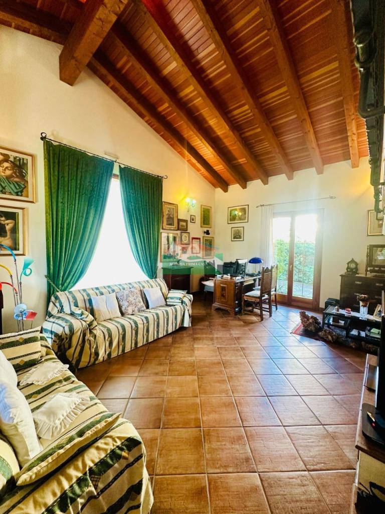 Vendita Esavani, Ravenna foto
