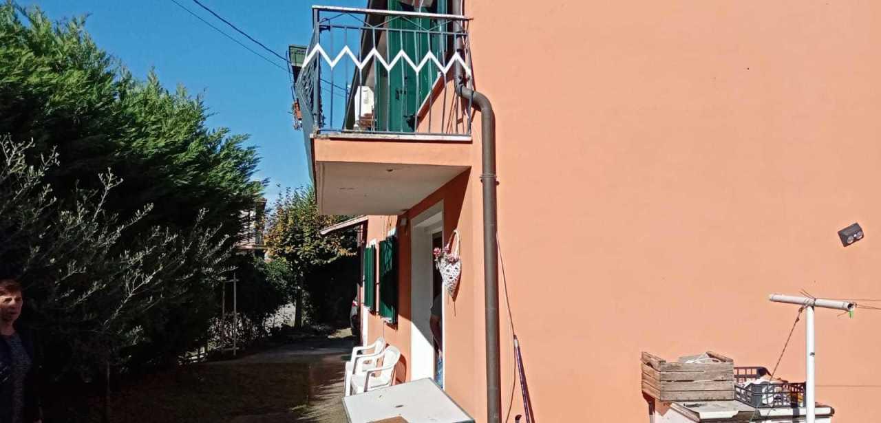 Vendita Multivani, Ospedaletto Euganeo foto