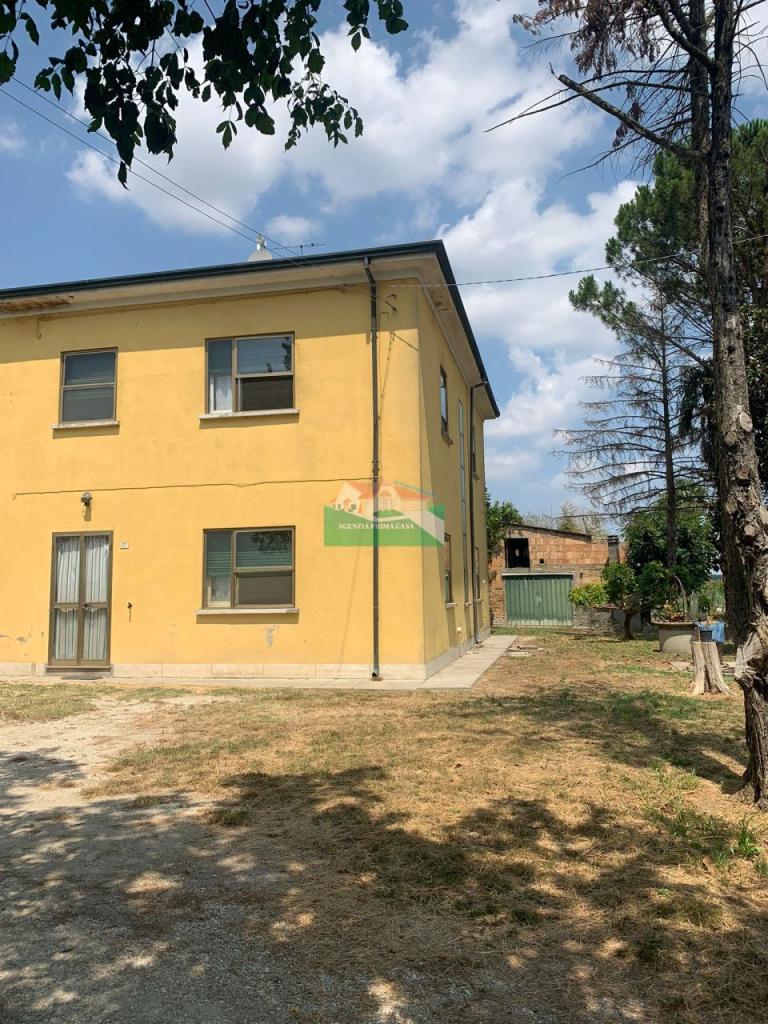 Vendita Multivani, Alfonsine foto