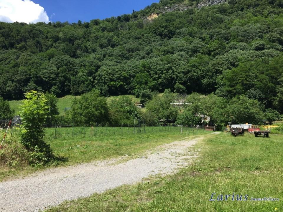 Vendita Quadrivani, Canzo foto