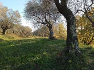 Vendita Case, Castelnuovo Magra