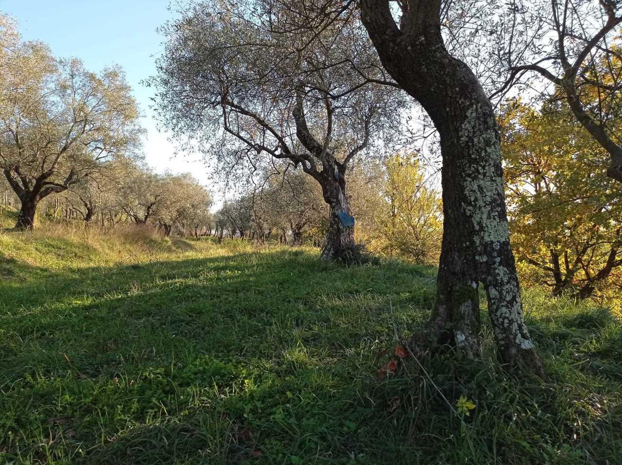Vendita Case, Castelnuovo Magra foto