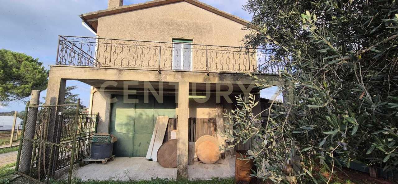 Vendita Multivani, Cinigiano foto