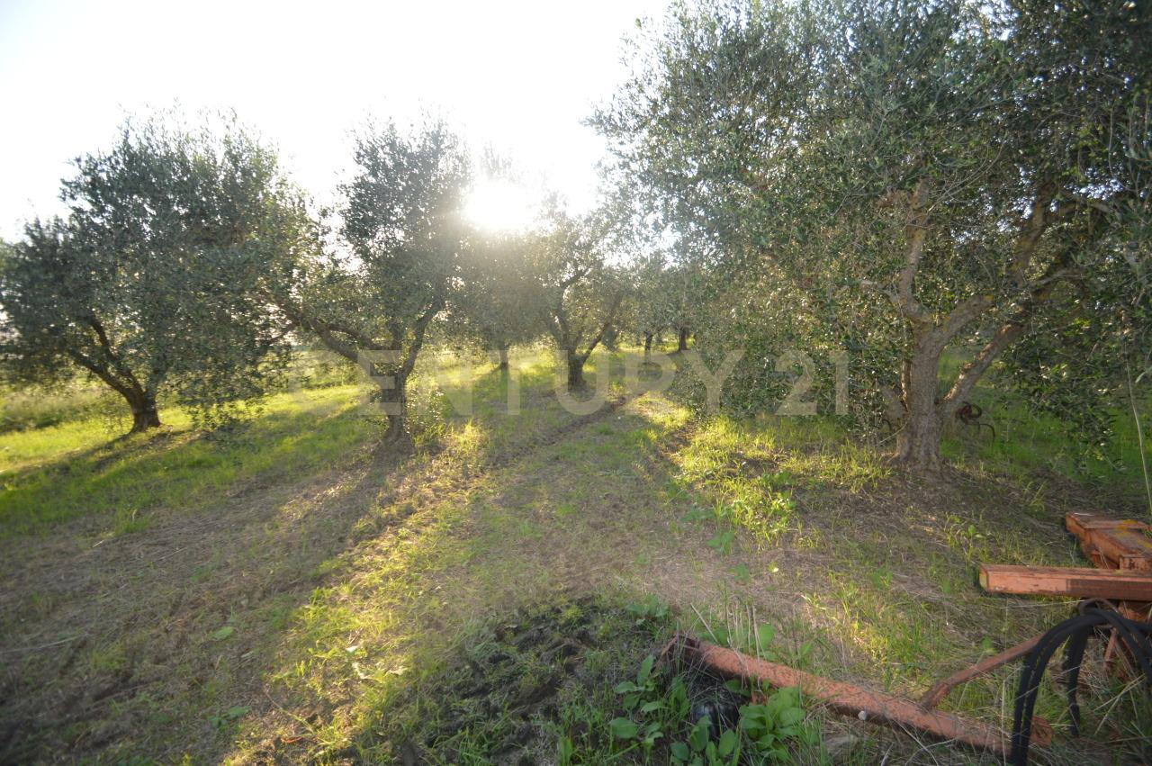 Vendita Monovano, Grosseto foto