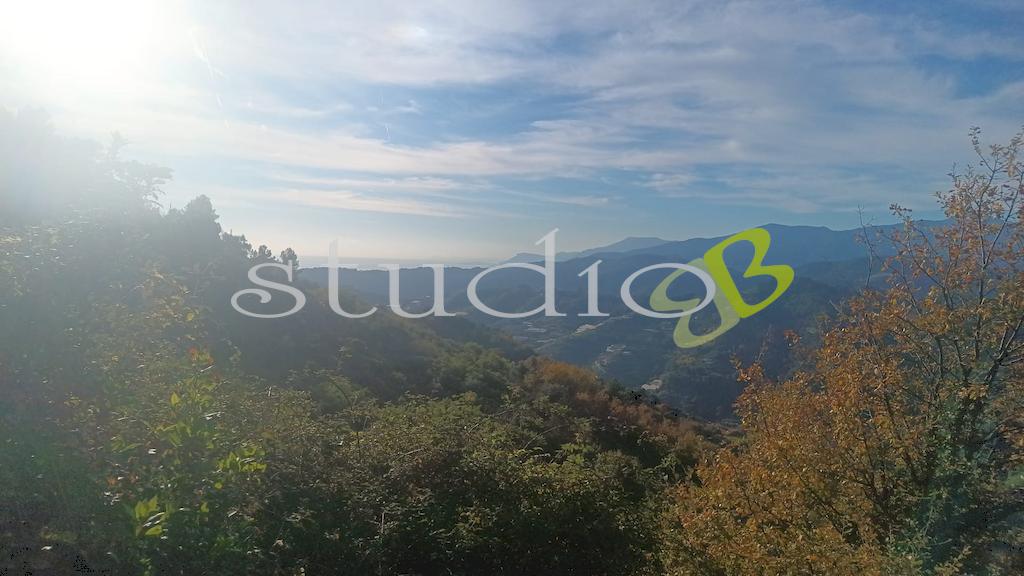 Vendita vendita, Vallebona foto