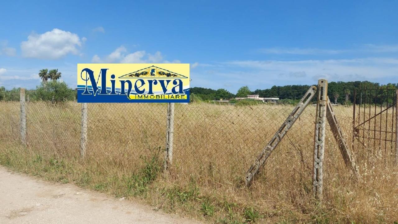 Vendita Terreno, Nettuno foto