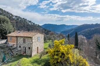 Vendita Pentavani, Pescaglia Vendita Pentavani, Pescaglia