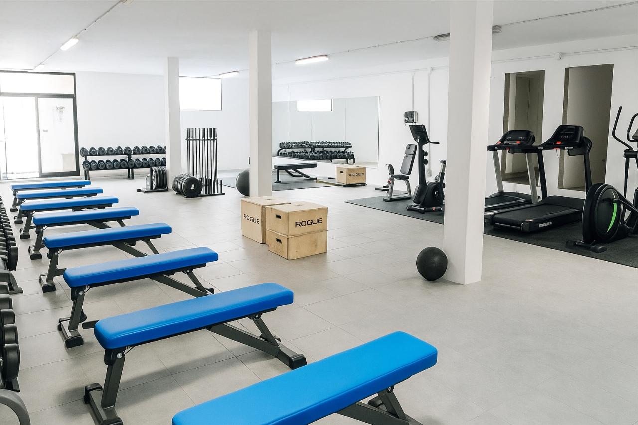 Affitto Capannone , Montignoso Affitto Capannone , Montignoso foto