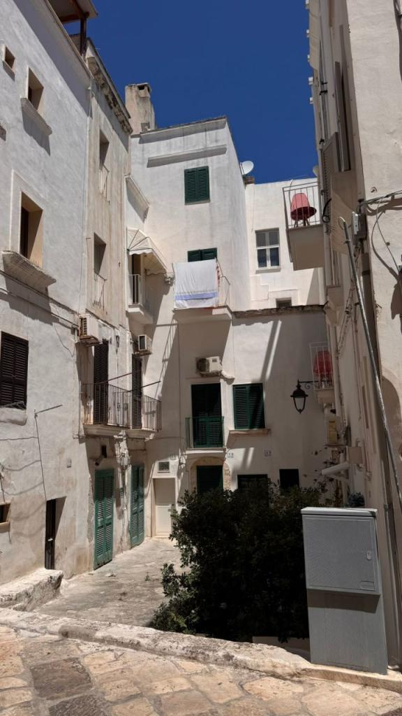 Vendita Trivani, Monopoli foto