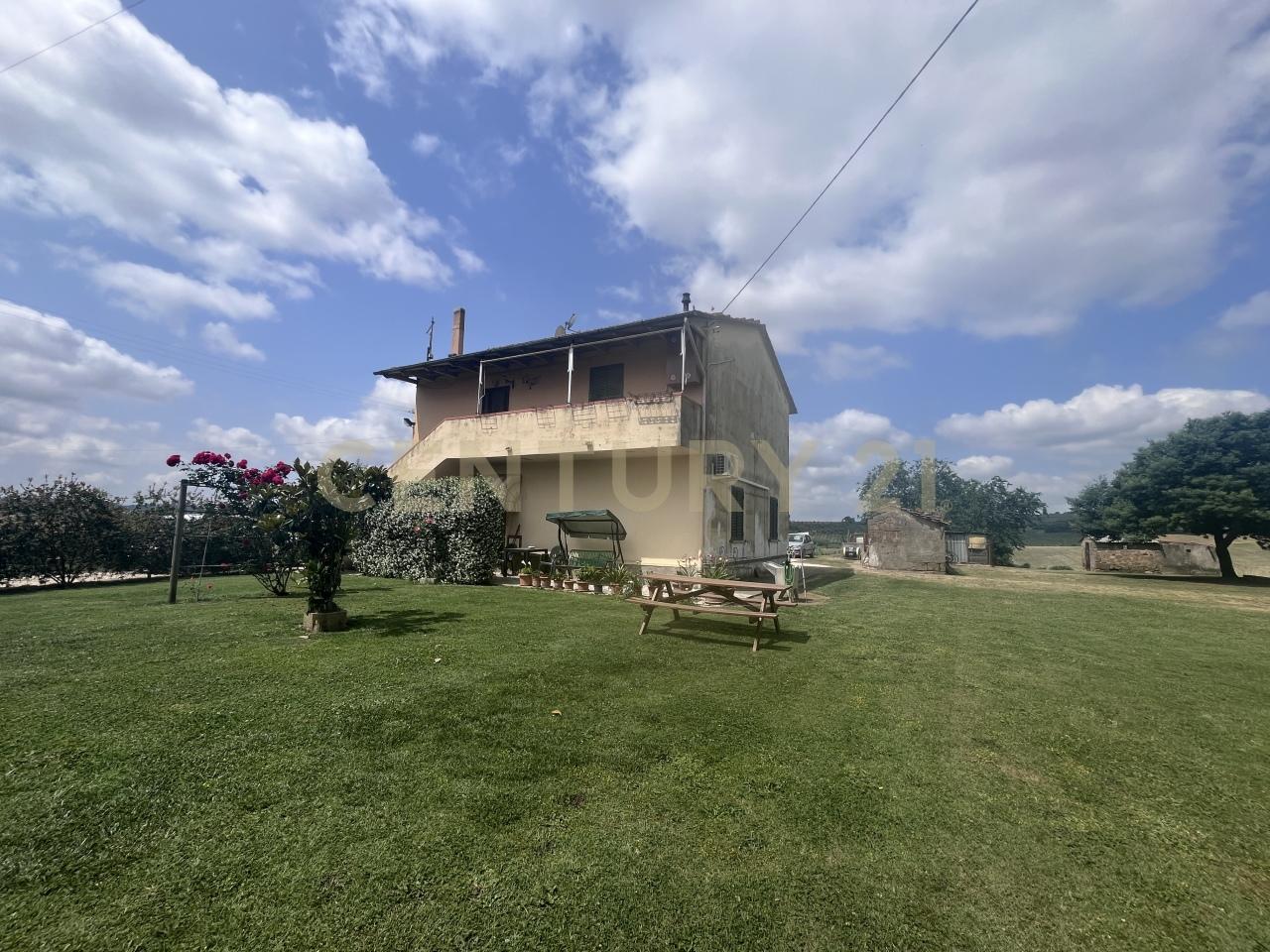 Vendita Multivani, Scansano foto