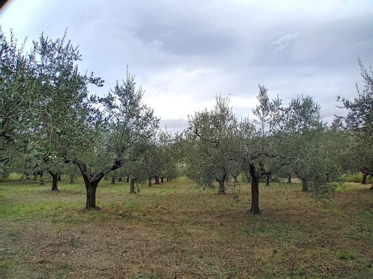 Vendita Case, Manoppello foto