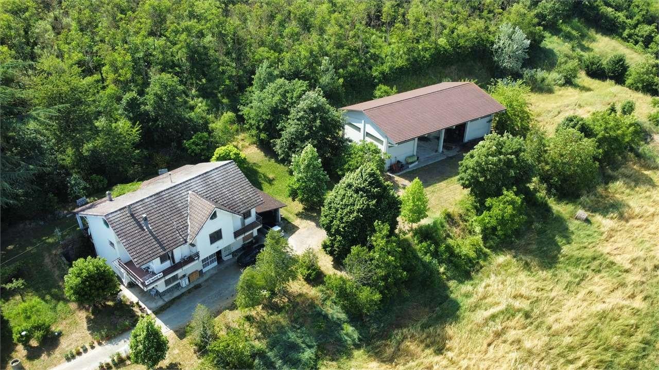Vendita vendita, Melazzo foto