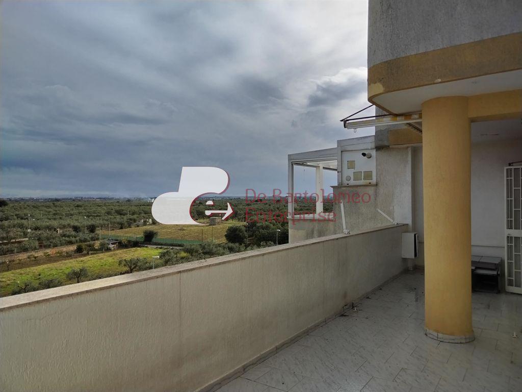 Vendita Appartamento, Triggiano foto