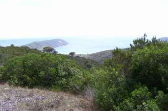 Vendita Rustico, Portoferraio