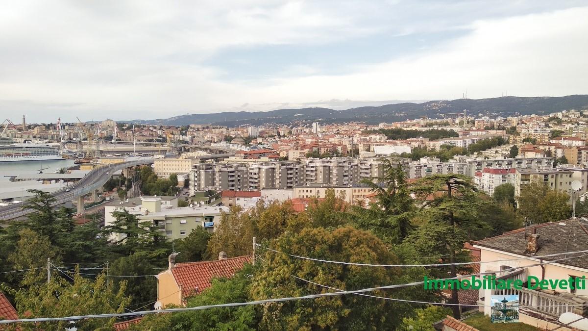 Vendita Bivani, Trieste foto