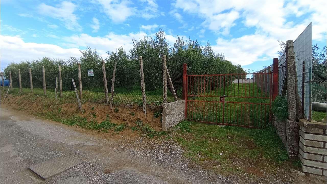 Vendita vendita, Roma foto