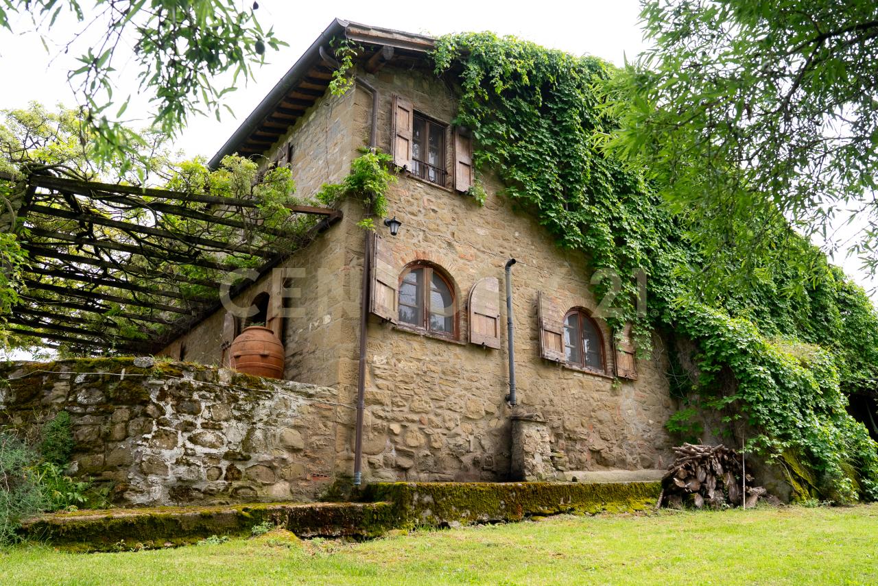 Vendita Multivani, Bettona Vendita Multivani, Bettona foto