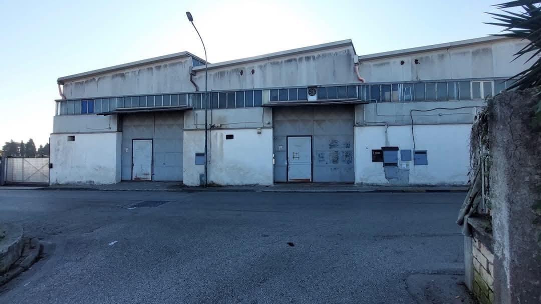 Affitto Bivani, Casalnuovo di Napoli Affitto Bivani, Casalnuovo di Napoli foto