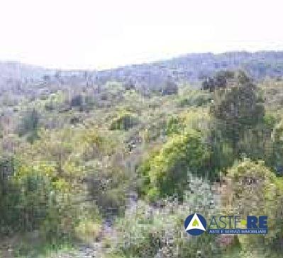 Vendita Multivani, Riparbella foto