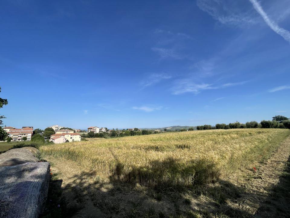 Vendita Loft, mansarde e attici, Mosciano Sant'Angelo foto