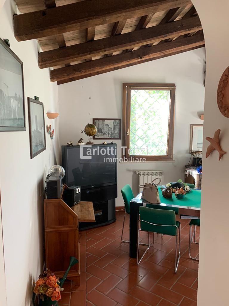 Vendita Multivani, Grosseto foto