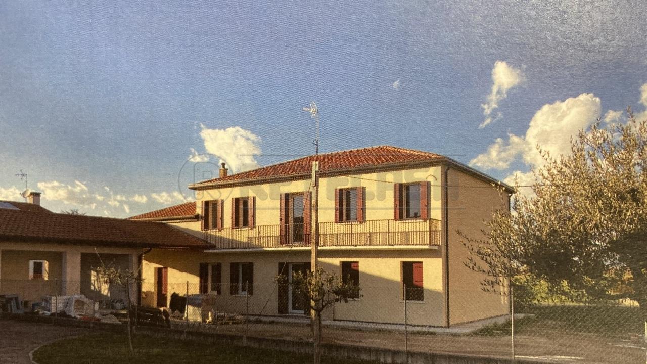 Vendita Multivani, Campodarsego foto