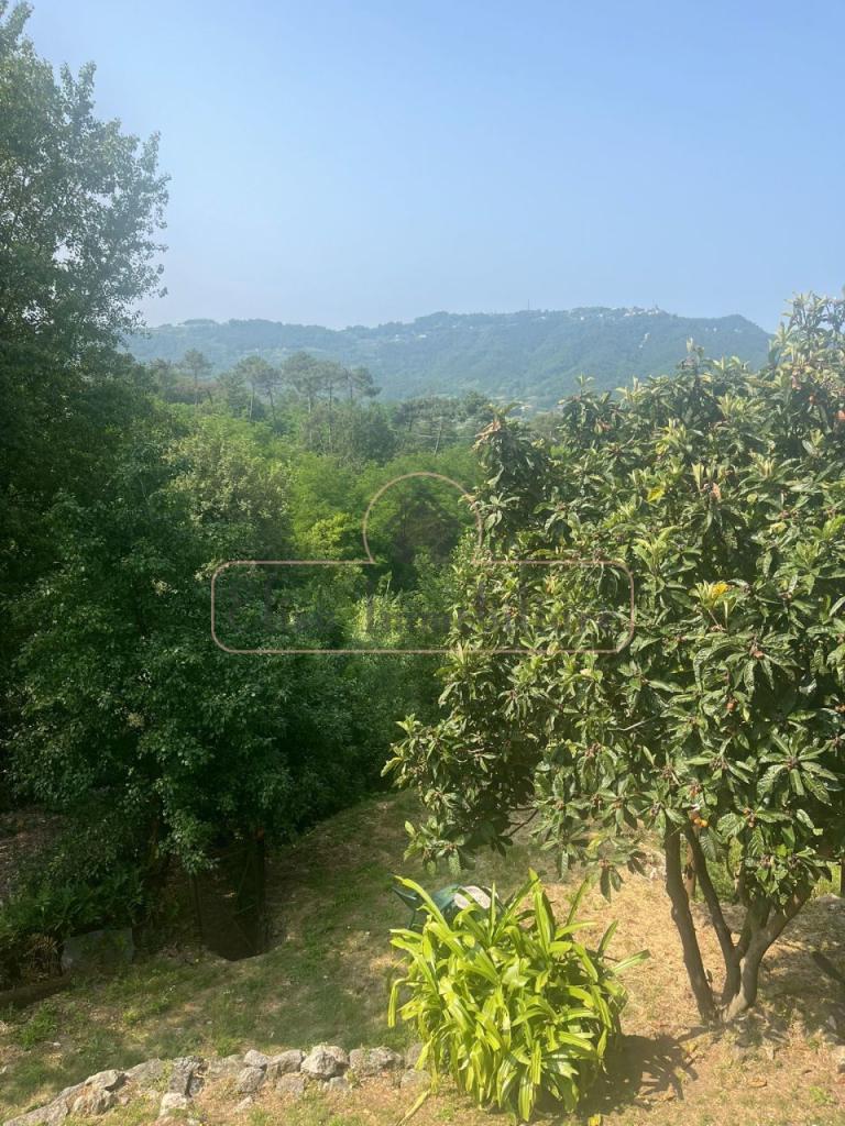 Affitto Quadrivani, Camaiore foto