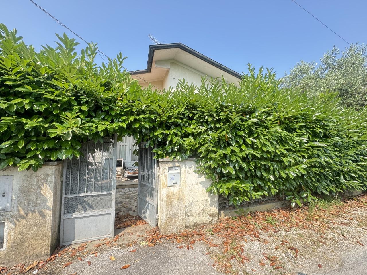 Vendita Esavani, Camaiore foto