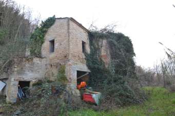 Vendita Rustico, Montefiore dell'Aso