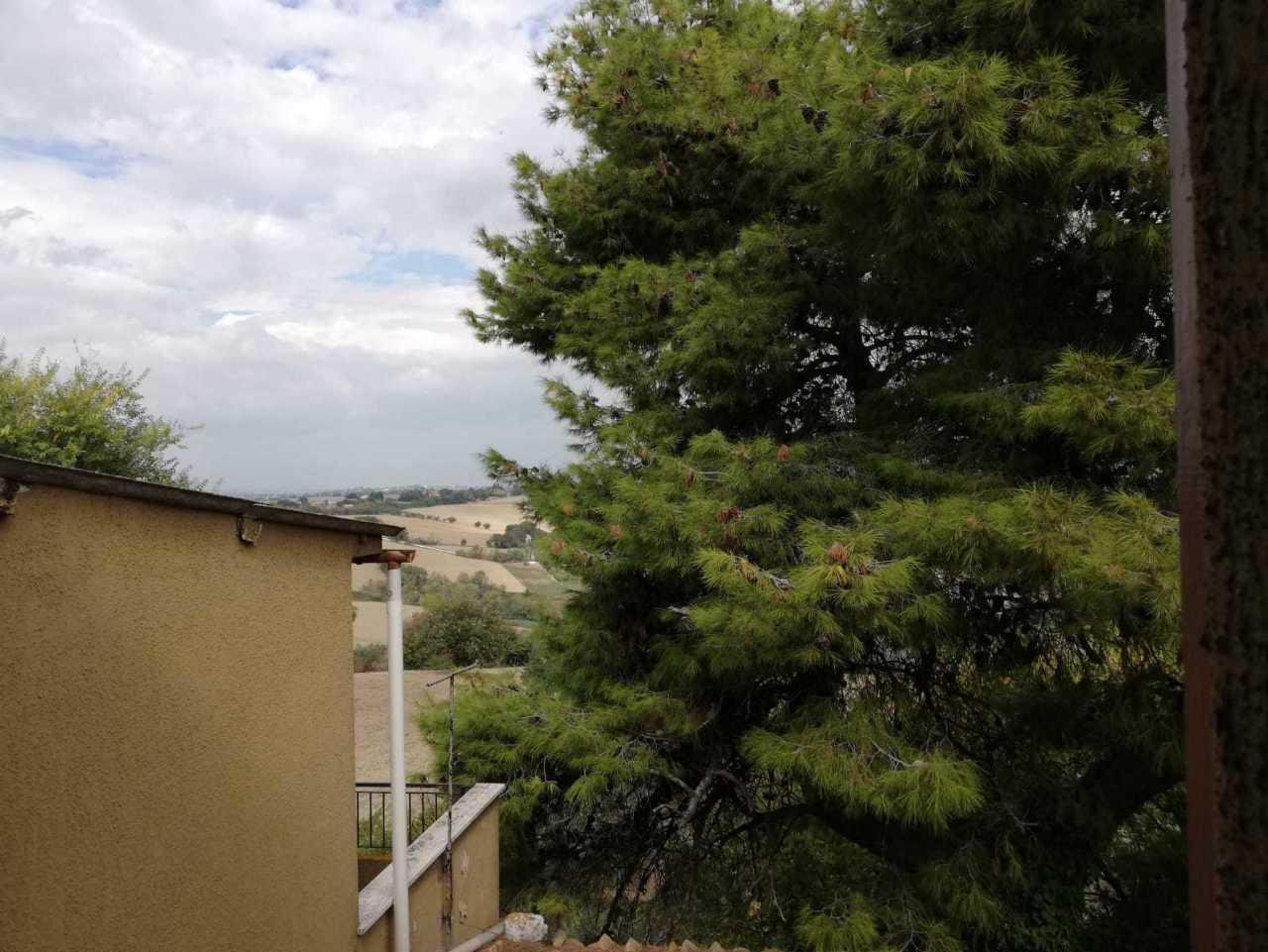 Vendita Esavani, San Marcello Vendita Esavani, San Marcello foto