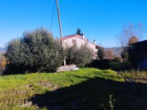 Vendita Multivani, San Paolo di Jesi Vendita Multivani, San Paolo di Jesi