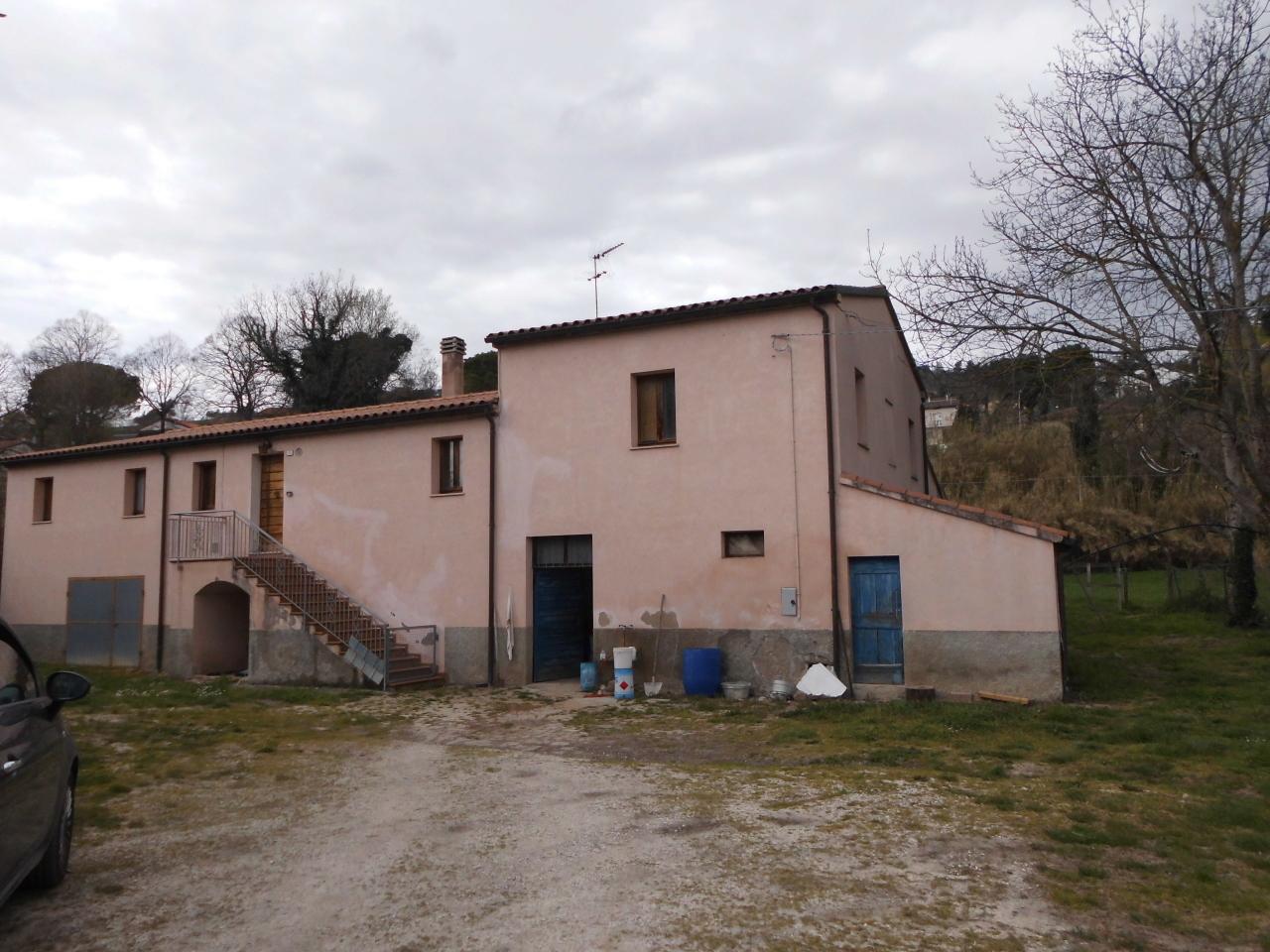 Vendita Esavani, Castelplanio foto