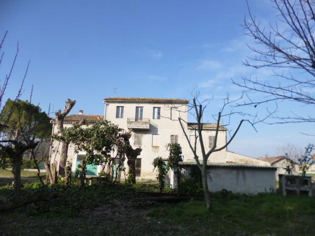 Vendita Multivani, Castelbellino foto
