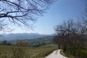 Vendita Case, Apiro