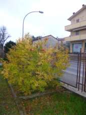 Vendita Case, Castelplanio