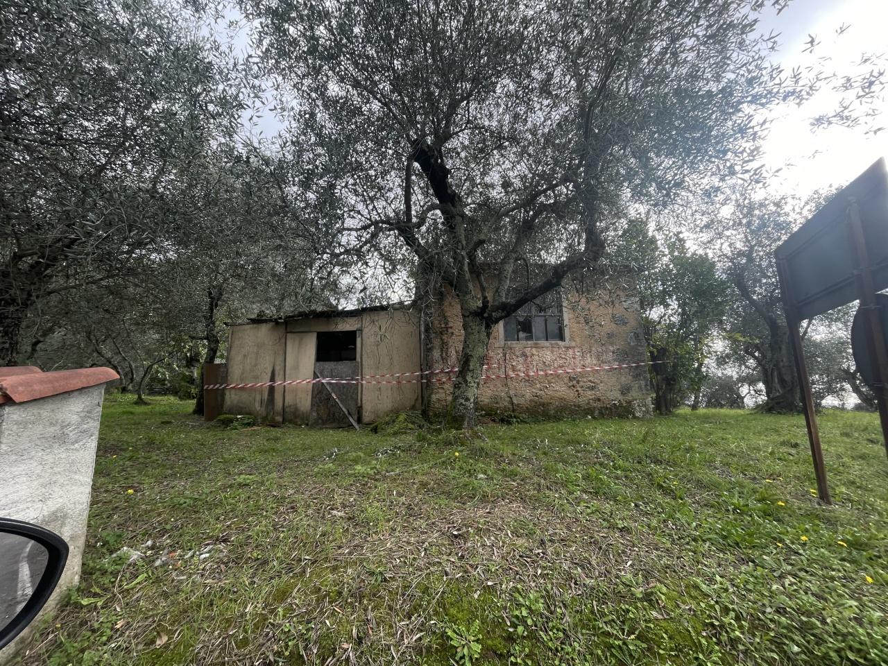Vendita Monovano, Pietrasanta foto
