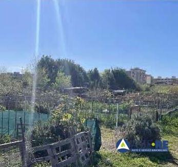 Vendita Loft, mansarde e attici, Livorno foto