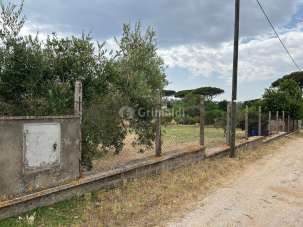 Vendita Monovano, Nettuno Vendita Monovano, Nettuno