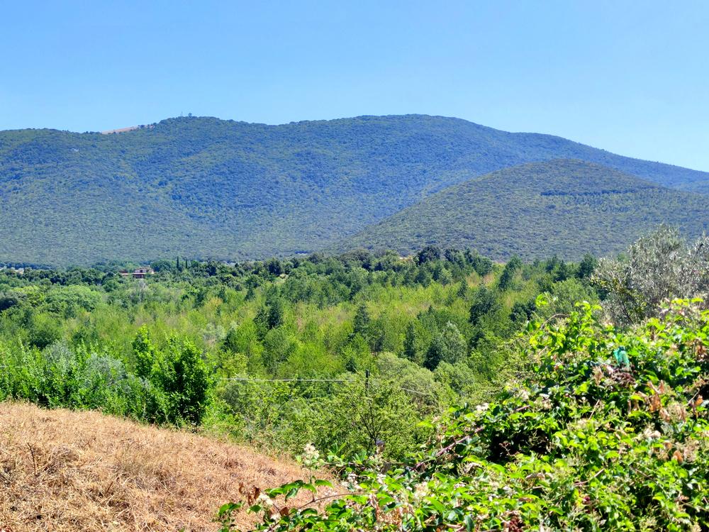 Vendita Esavani, Montecchio foto