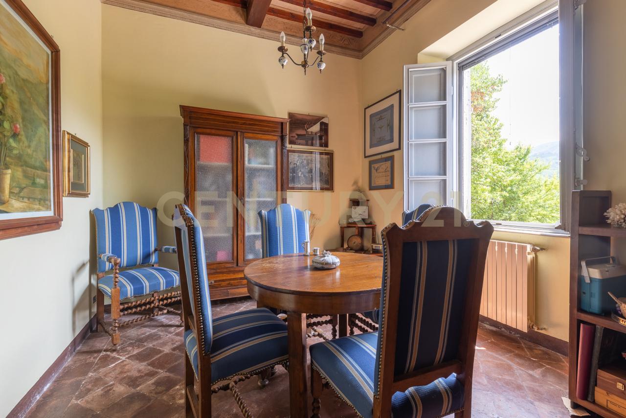 Vendita Multivani, Borgo a Mozzano foto