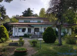Vendita Multivani, Rimini Vendita Multivani, Rimini