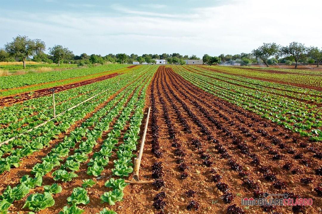 Vendita Loft, mansarde e attici, Monteriggioni Vendita Loft, mansarde e attici, Monteriggioni foto