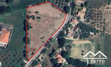 Vendita Loft, mansarde e attici, Otricoli Vendita Loft, mansarde e attici, Otricoli